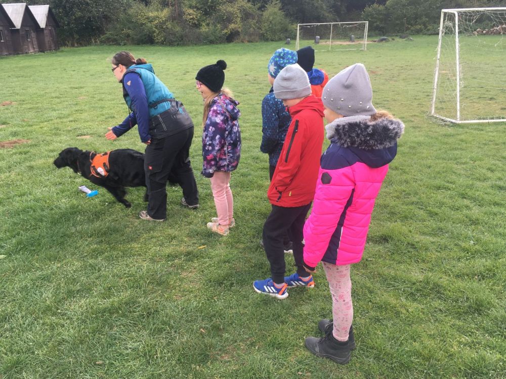 Práce se záchranářskými psy