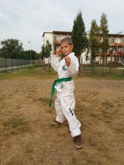 arti marzial - taekwondo