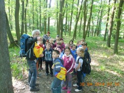 Všímáme si přírody