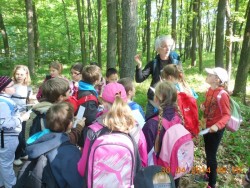 Poznáváme květiny